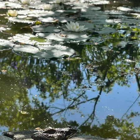 Beautiful Traditional In