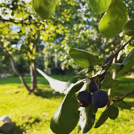 Beautiful Traditional In