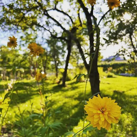 Villa Beautiful Traditional In Hanko